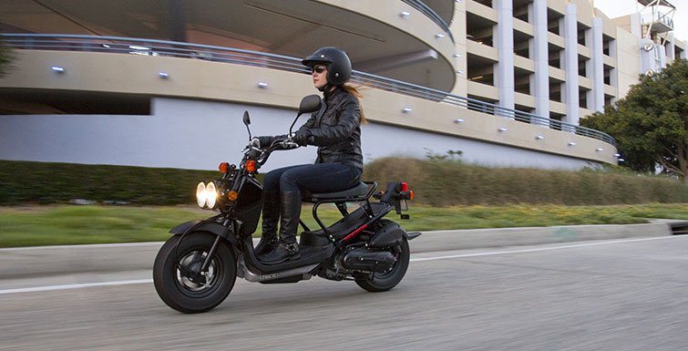Honda ruckus in illinois #2